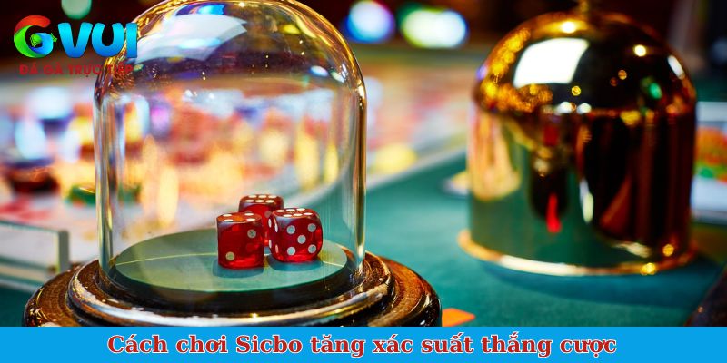 Cách chơi Sicbo tăng xác suất thắng cược