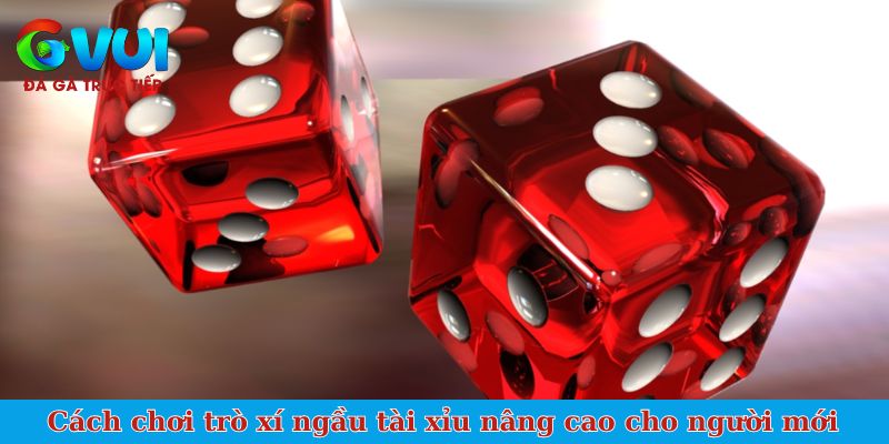 Cách chơi trò xí ngầu tài xỉu nâng cao cho người mới