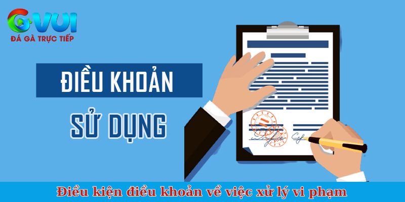 Điều kiện điều khoản về việc xử lý vi phạm