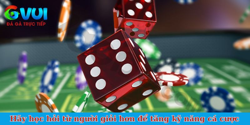 Hãy học hỏi từ người giỏi hơn để tăng kỹ năng cá cược