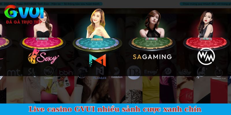 Live casino GVUI nhiều sảnh cược xanh chín