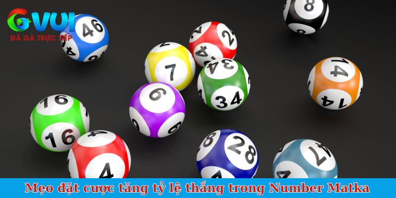 Mẹo đặt cược tăng tỷ lệ thắng trong Number Matka