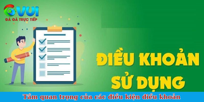 Tầm quan trọng của các điều kiện điều khoản