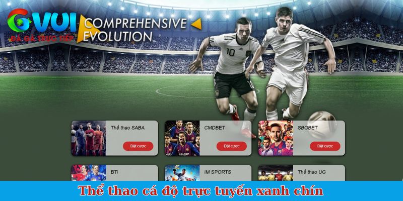 Thể thao cá độ trực tuyến xanh chín