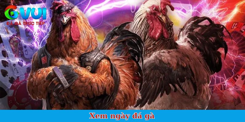 Xem ngày đá gà