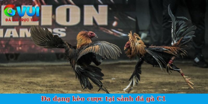 Đa dạng kèo cược tại sảnh đá gà C1