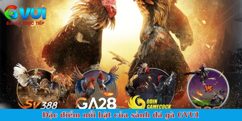 Đặc điểm nổi bật của sảnh đá gà GVUI