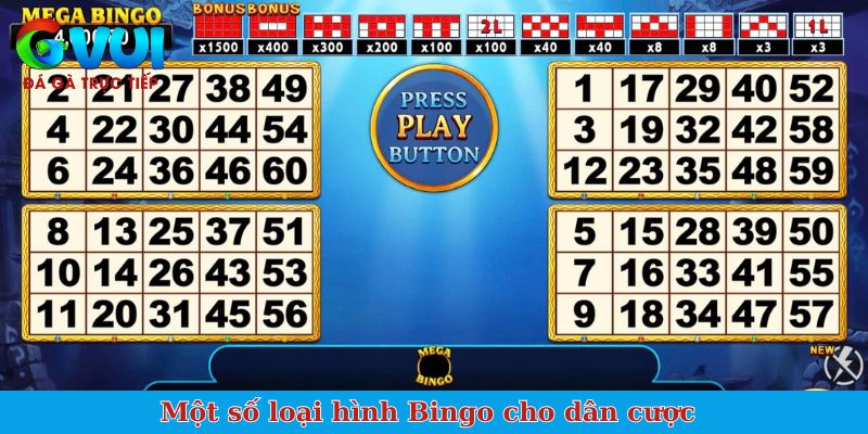 Một số loại hình Bingo cho dân cược 