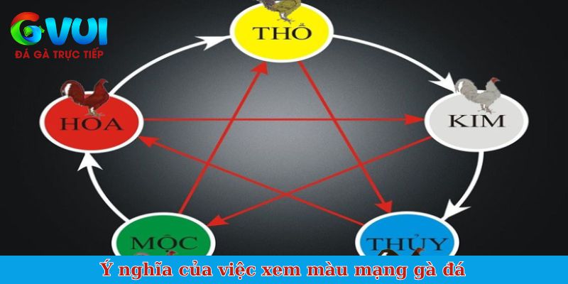 Ý nghĩa của việc xem màu mạng gà đá
